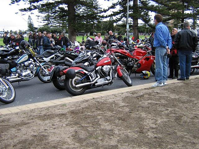 Photo courtesy of Tracey and Peter