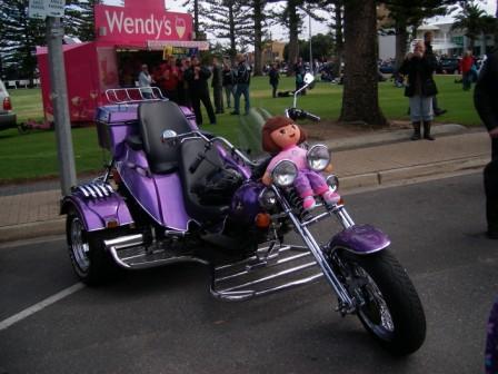 Photo courtesy of Steve