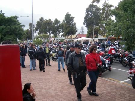 Photo courtesy of Steve