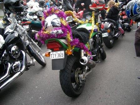 Photo courtesy of Steve