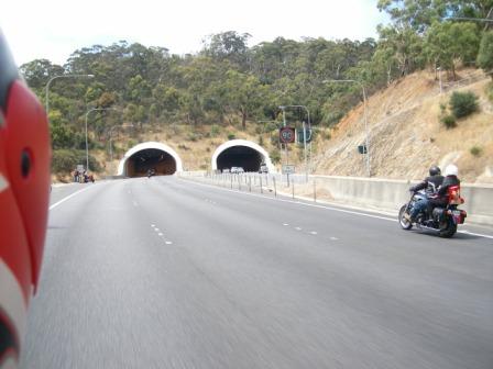 Photo courtesy of Steve