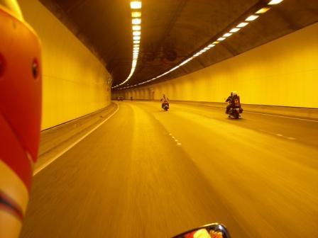 Photo courtesy of Steve