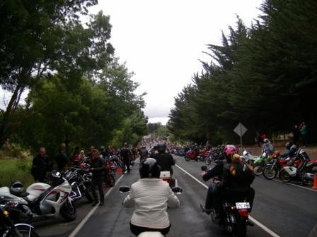 Photo courtesy of Steve