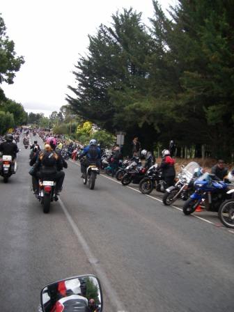 Photo courtesy of Steve