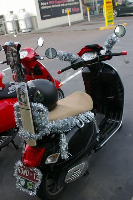 Photo courtesy of Rene