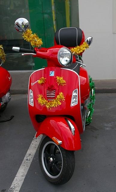 Photo courtesy of Rene