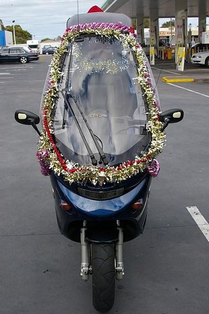 Photo courtesy of Rene