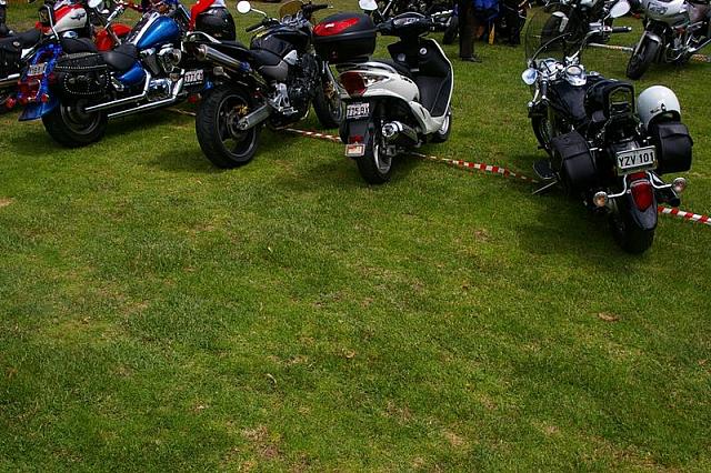 Photo courtesy of Rene