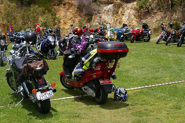 Photo courtesy of Rene