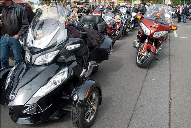 Photo courtesy of Rene