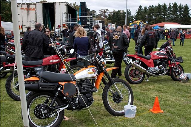 Photo courtesy of Rene