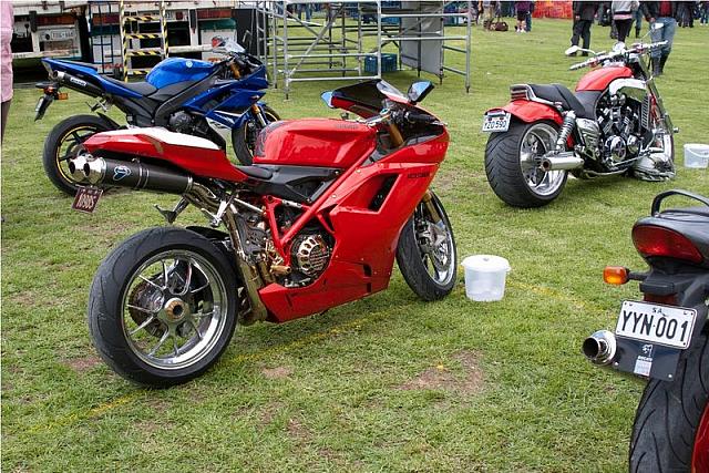 Photo courtesy of Rene