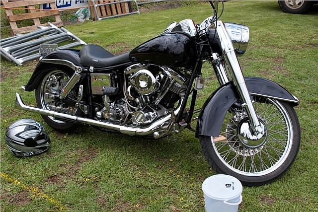 Photo courtesy of Rene