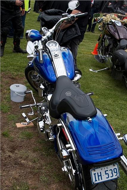 Photo courtesy of Rene