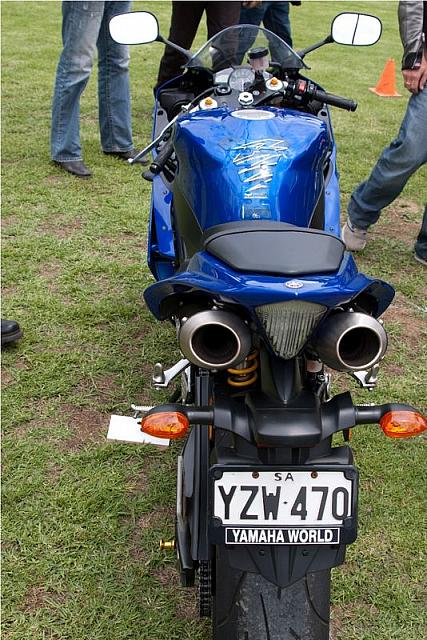 Photo courtesy of Rene