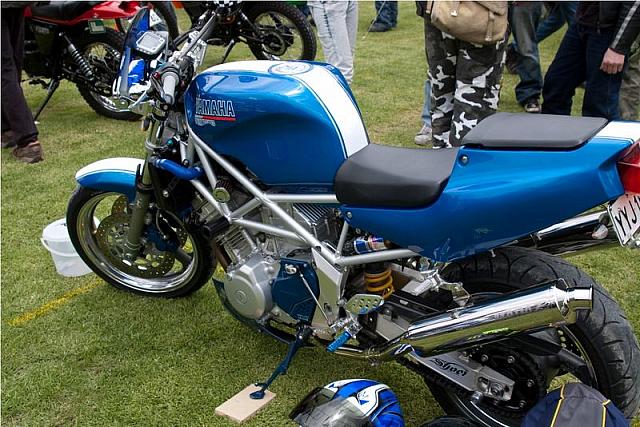 Photo courtesy of Rene