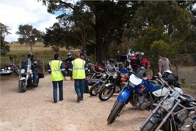 Photo courtesy of Rene