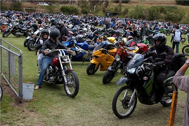 Photo courtesy of Rene