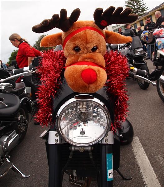 Photo courtesy of Paula McManus
Full Resolution image 0426 924 751