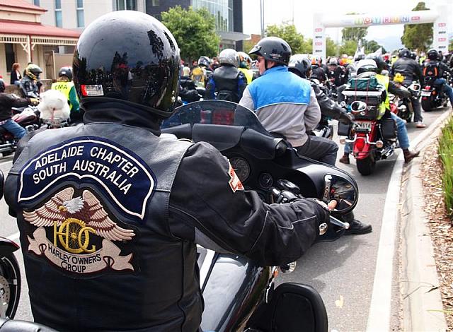 Photo courtesy of Paula McManus
Full Resolution image 0426 924 751