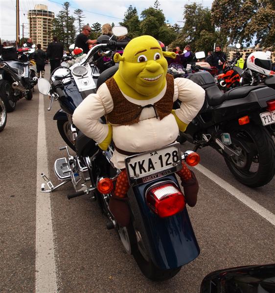 Photo courtesy of Paula McManus
Full Resolution image 0426 924 751