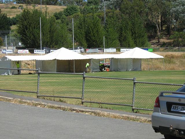 Photo courtest of Toni