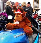 Photo courtesy of Paula McManus
Full Resolution image 0426 924 751